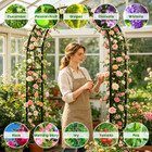 Adjustable Metal Garden Arch (1- or 2-Pack) product image