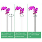 iNova™ Plant Support Stake (10-Pack) product image