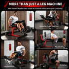 Leg Extension and Curl Machine product image