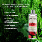 Plantoria® Plant-Based Body Wash, 500ml (4- or 8-Pack) product image