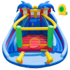 Dolphin-themed Inflatable Water Slide Park product image