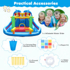 Dolphin-themed Inflatable Water Slide Park product image