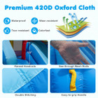 Dolphin-themed Inflatable Water Slide Park product image