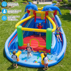 Dolphin-themed Inflatable Water Slide Park product image