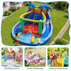 Dolphin-themed Inflatable Water Slide Park product image