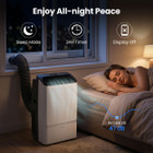 Wi-Fi Enabled Portable Air Conditioner  product image