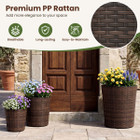 Tapered Rattan Planters (Set of 3) product image