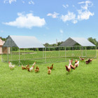  Chicken Coop Run Walk-in Metal Chicken Cage product image