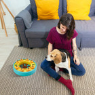 Interactive Dog Food Puzzle Feeder product image
