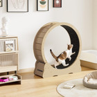 Cat Exercise Wheel  product image