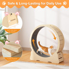 Cat Exercise Wheel  product image