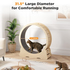 Cat Exercise Wheel  product image