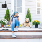 Wireless Dog Fence and Training Collar product image