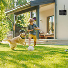 Wireless Dog Fence and Training Collar product image