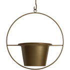 6" Hanging Pot Wall Planters  product image