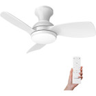 Consciot Ceiling Fan  product image