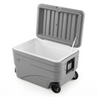 Portable Wheeled Ice Cooler product image