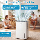 Portable Dehumidifier product image