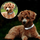 Personalized Reflective Pet Collar product image