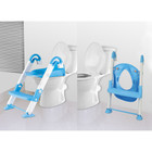 Toddler Potty Training Chair with Detachable Ladder product image