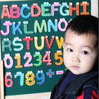 26 Magnetic Wooden Letters and Free 15 Numbers & Symbols product image