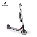 Segway Ninebot® ES4 Folding Electric Kick Scooter with Extra Battery product image