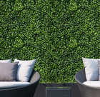 Artificial Boxwood 20'' x 20'' Hedge Wall Panels (Set of 12) product image