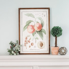 Large Framed Vintage Fruit Prints product image