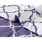 Reversible Microfiber Bed Comforter with Pillow Shams product image