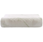 Cheer Collection Foam Pillow With Bamboo Cover product image