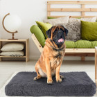 Cozy Pet Cushion product image