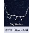 Zodiac Constellation Necklace product image