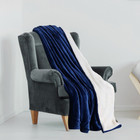 Lightweight Super Soft Cozy Sherpa Fleece Throw Blanket (2-Pack) product image