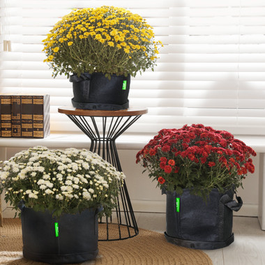 Touch of ECO® Glow & Grow Indoor Gardening Kit product image