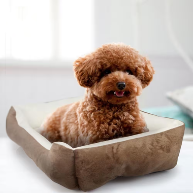 PetLuv™ Plush Cushion Pet Bed product image