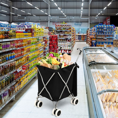 Folding Shopping and Utility Cart, Water-Resistant Heavy-Duty Canvas with Cover product image