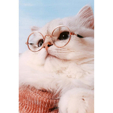 Round Pet Glasses product image