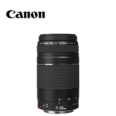 Canon® EF 75-300mm f/4-5.6 III Lens, 6473A003 product image