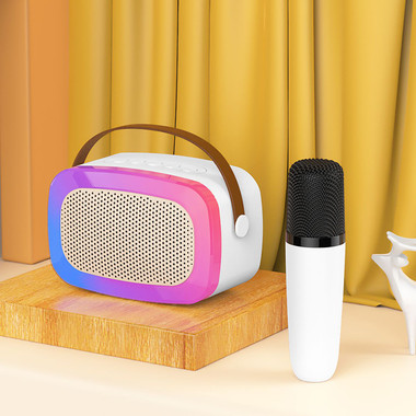 Portable Karaoke Bluetooth Speaker & Wireless Microphone with LED Light product image
