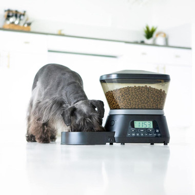 Gamma2™ Nano Automatic Pet Feeder for Cats & Dogs product image