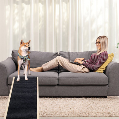 Wooden Folding Pet Ramp (2 Sizes) product image