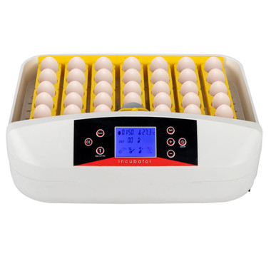 42-Egg Practical Fully-Automatic Incubator product image