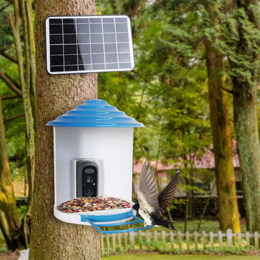 iNova™ Smart Bird Feeder with Camera product image