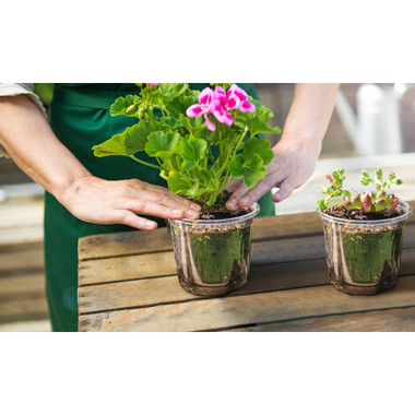 iMounTEK® Plant Nursery Pot with Lid (30-Pack) product image