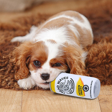 White Paw Dog Chew Toy product image