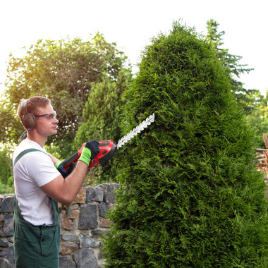 LakeForest 24V Cordless Hedge Trimmer product image LakeForest 24V Cordless Hedge Trimmer product image