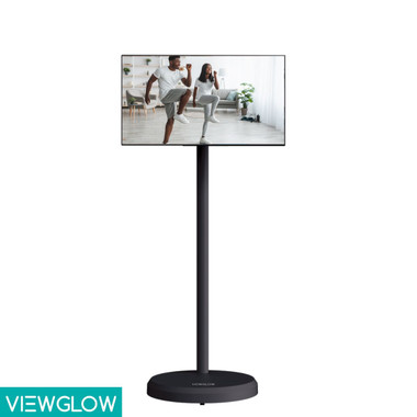21.5" Portable Standing Monitor  product image