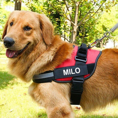 Personalized Reflective Pet Harness product image