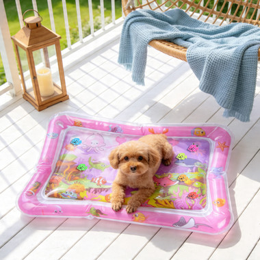 Interactive Cat Water Mat  product image