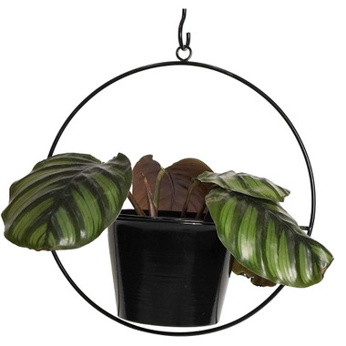 6-Inch Metal Hanging Pot Wall Planters product image